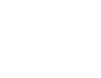 Lyon Savate